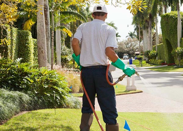 About Lake Zurich IL Pest Control